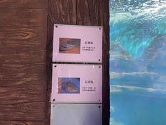 -无锡海洋馆