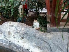-龙达温泉生态城