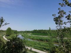 -洨河生态公园