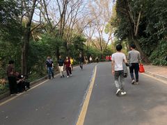 -南国桃园旅游度假区