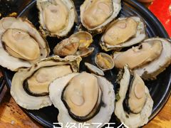 -土蚝·高压锅生蚝(百姓美食街店)