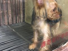 -宠物世家(仲盛世界商城店)