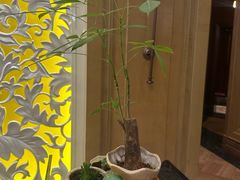 -臻宝中餐厅·大连菜·海鲜·融合菜(大连一方城堡豪华精选酒店)