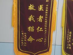 -中农国际动物医院24小时·猫科·骨科·急重症中心