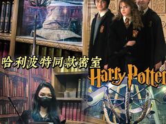 -逃脱反斗城沉浸剧情密室(北京路店)