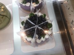 -gaga(深圳福田星河COCO Park店)
