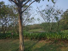 -白沙门生态公园