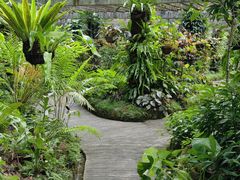 -深圳仙湖植物园