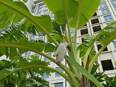 -三亚南山文化旅游区