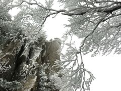 -洛阳白云山景区
