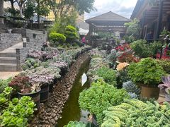 -山菌美食苑(振兴路店)