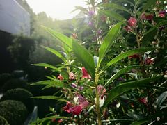 -春晖园度假酒店温泉