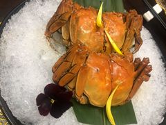 -外滩1288花园丽舍