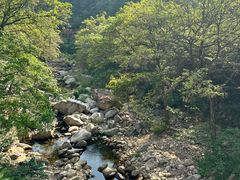 -崂山九水游览区