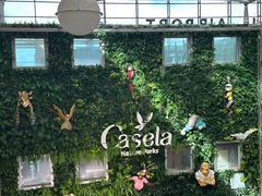 -西沃古尔·拉姆古兰爵士国际机场