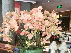 -八府香鸭·啫啫煲(华山路店)