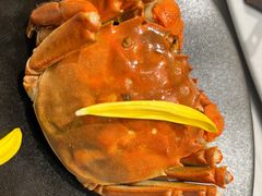 -花锦堂·隐庐