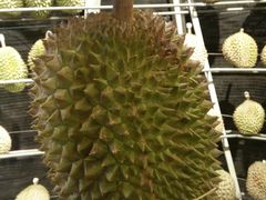 -都念榴莲·城市榴莲