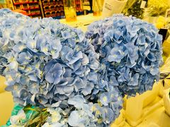 -盒马X会员店(王府井奥莱UP TOWN店)