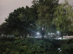 -沐仙湖湿地公园