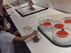 -陕西科学技术馆