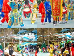 -海合安成都极地海洋公园