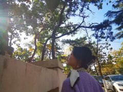 -八大关景区