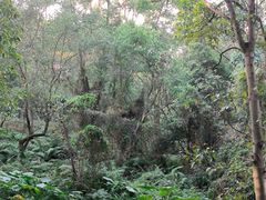 -燕晗山郊野公园