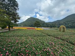-广州市石门国家森林公园