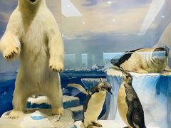 -国家自然博物馆