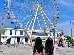 -南戴河国际娱乐中心