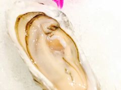 -一棵树·意大利西餐厅One Tree(新城店)