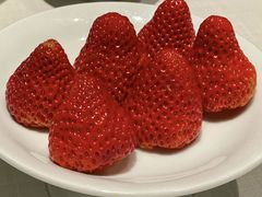 -许家菜(望江店)