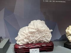 -湖南省地质博物馆