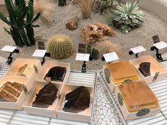 -OUR Bakery(SKP-S店)