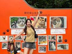 -上海静安香格里拉大酒店
