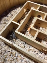 -酷嗒动物文化乐园(cutezoo西溪乐天城店)