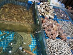 -双合园·海鲜水饺青岛菜(万佳广场店)