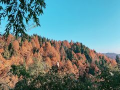 -山王坪喀斯特国家生态公园