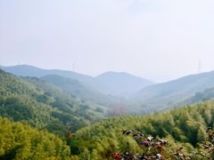 -东明山森林公园
