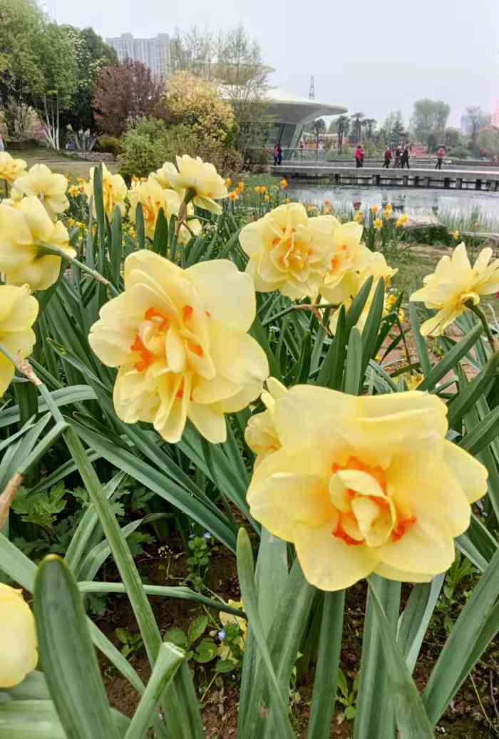 西安植物园曲江园区