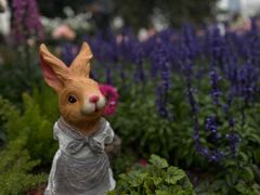 -人民公园(罗湖区)