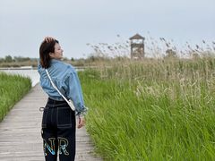 -盐城丹顶鹤湿地生态旅游区