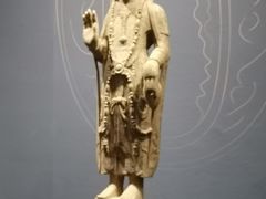 -广西壮族自治区博物馆