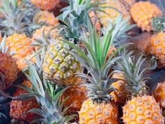 菠萝-海大南门夜市(海富街店)