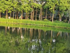 -和平公园