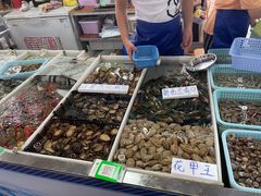 -大湾区中央湿地公园-十九涌