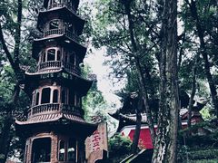 -子昂故里文化旅游区