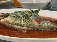 -上海龙之梦万丽酒店