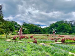 -德庆盘龙峡生态旅游区